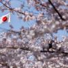 Japan to increase financial aid to Ukraine