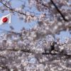 Russian detained in Japan for illegal export of goods to Russia