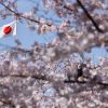 Japan extends sanctions against Russia