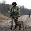 Belarusian military crosses Polish border after damaging fence
