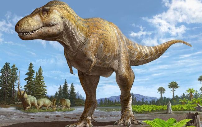 Scientists reveal appearance of previously unknown species of tyrannosaur (photo)