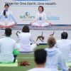 Harmony under the sun: Kyiv celebrates International Yoga Day with global community