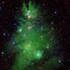 2,500 light years from Earth: NASA shows spectacular 'Christmas tree' nebula (video)