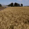 Russians fund collaborators, intelligence exposes scheme in Kherson region