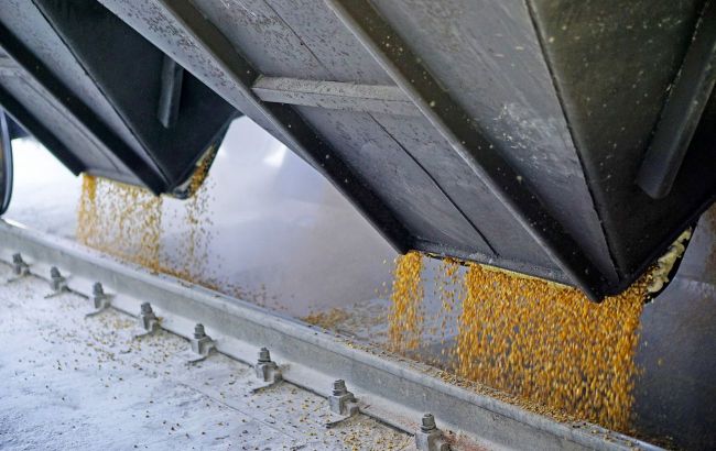Ukraine will appeal the ban on grain imports to the EU: Details