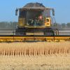 EU seeks new routes to export Ukrainian grain through Black Sea
