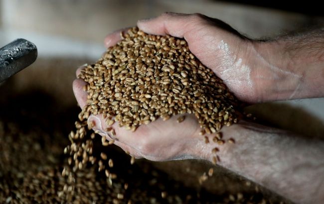 Grain embargo: Why Ukrainian food became a problem for Europe and how to solve it