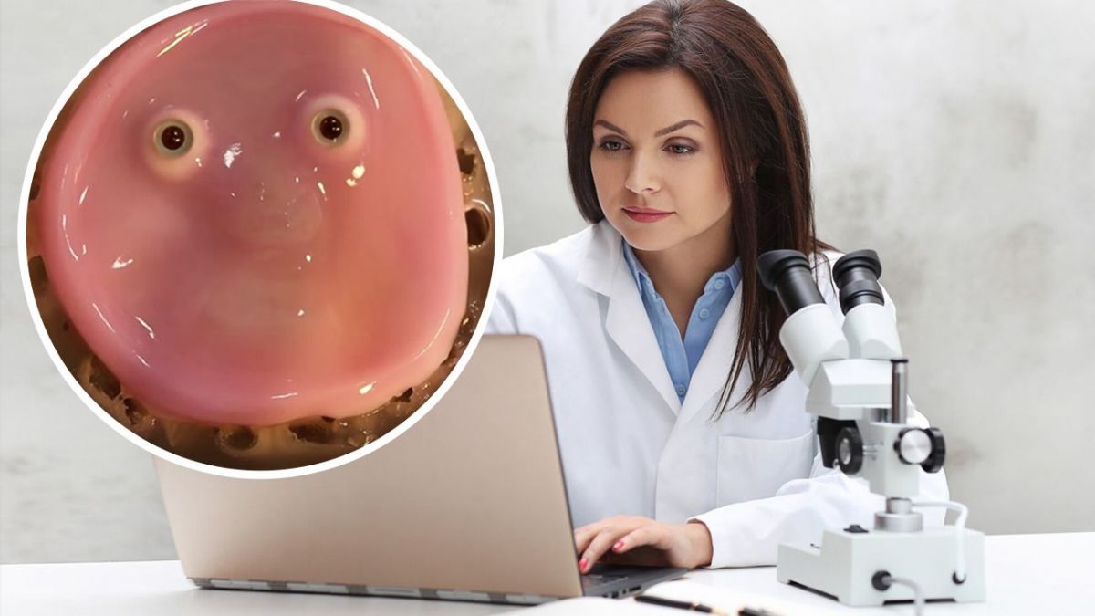 Real-life Terminators: Scientists develop skin for robots and teach them to smile