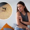 Insect bites season: Symptoms and treatment advice