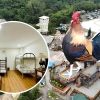 Whimsical bird-shaped hotel entered Guinness World Records: Why and what it looks like