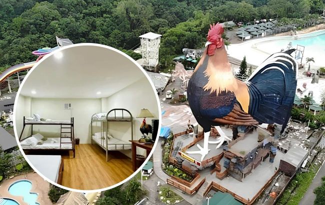 Whimsical bird-shaped hotel entered Guinness World Records: Why and what it looks like