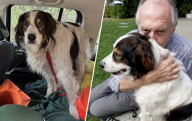 Brave dog saved life of its owner, who was dying