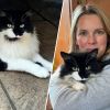 Cat 'returns from dead' and comes home after cremation