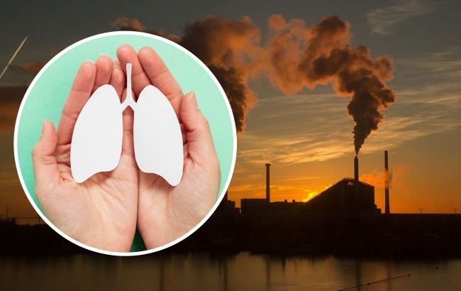 Air pollution affects digestion: Scientists' announcement