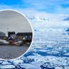 5 strangest finds of scientists in Antarctica