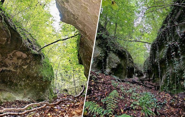 Neanderthal canyon in Lviv region: Where Ukraine&rsquo;s oldest man-made monument hidden