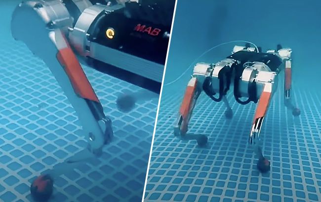 Robotic dog completed its first underwater tests