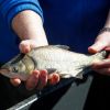 Trump push to deregulate fishing sparks hope and concern in coastal communities