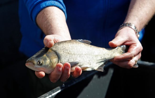 Trump push to deregulate fishing sparks hope and concern in coastal communities