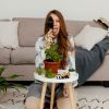 Flowers and house plants can affect human mental health