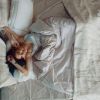Why you wake up at night: Insights from sleep experts