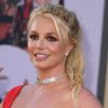 Barking and carrying knife: Britney Spears frightens diners at Los Angeles restaurant