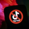 TikTok to be blocked in Ukraine? Head of Committee on Freedom of Speech's comment