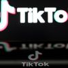 TikTok 2.0? Company launches new app in US, Reuters reports