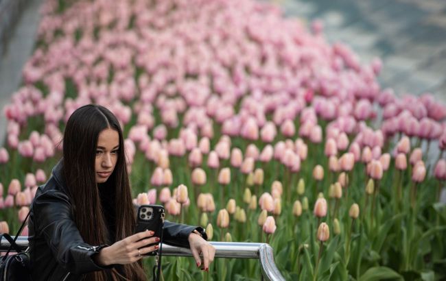 Where to see ocean of tulips in Ukraine right now: Five unique locations
