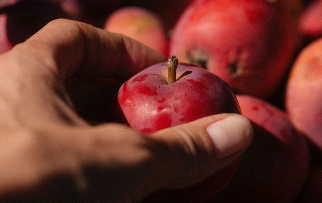 What happens to your body if you eat apples every day