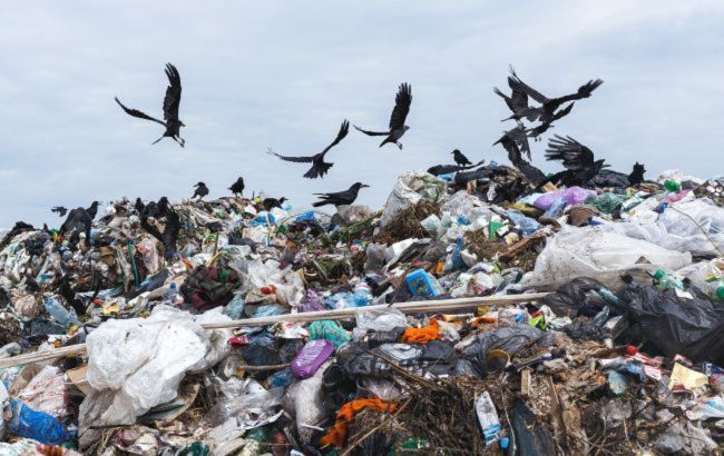 Reuters reports dire conditions in Gaza Strip - Unsanitary living environments, widespread rubbish and untreated sewage