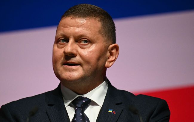 Ukraine&rsquo;s former army chief speaks out on possible political career