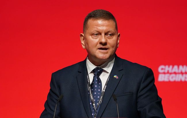 Ukraine's Ambassador to UK questions NATO membership and proposes alternatives