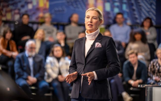 Pro-Russian AfD leader turns against Putin