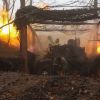 Ukrainian military hit Russian manpower concentration in Kursk region, dozens eliminated