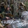 Russia-Ukraine war: Frontline update as of October 26