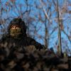 Ukrainian troops left Sudzha? Situation in Kursk region and why Ukraine losing ground