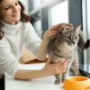 Keep these away from your cat: 5 toxic household dangers