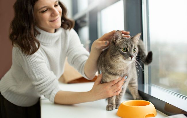 Keep these away from your cat: 5 toxic household dangers