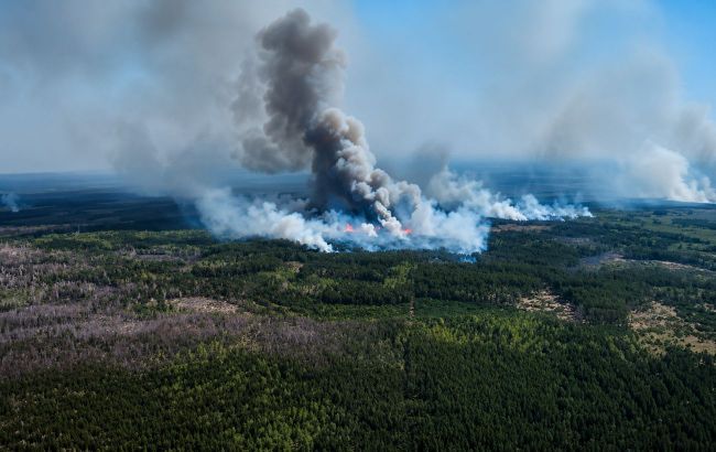 Massive wildfire in Ukraine caused by Russian attacks spreads toward Russian border