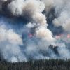 2,400 hectares of forest burning near Ukraine's border with Russia after attacks