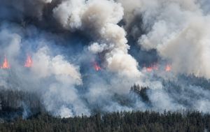 2,400 hectares of forest burning near Ukraine's border with Russia after attacks