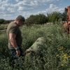 Threat to health and environment: How munitions poison soil and water in Ukraine