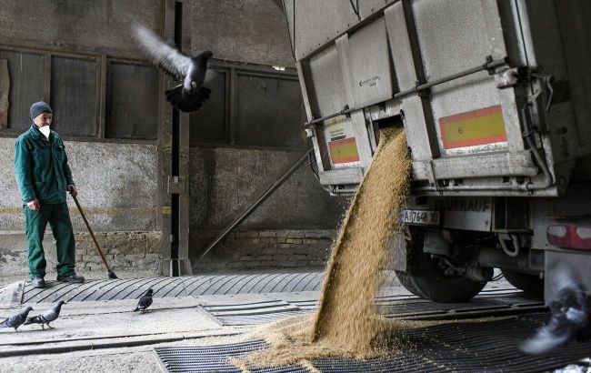 Ukraine introduces new grain export mechanism for 5 EU neighbors