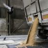 Lithuania offers the EU to increase exports of Ukrainian grain via Baltic States