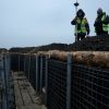 Sumy region strengthens fortifications: Governor announces critical new moves