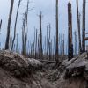 Can Ukraine&rsquo;s nature recover from war? Experts warn of critical ecological damage