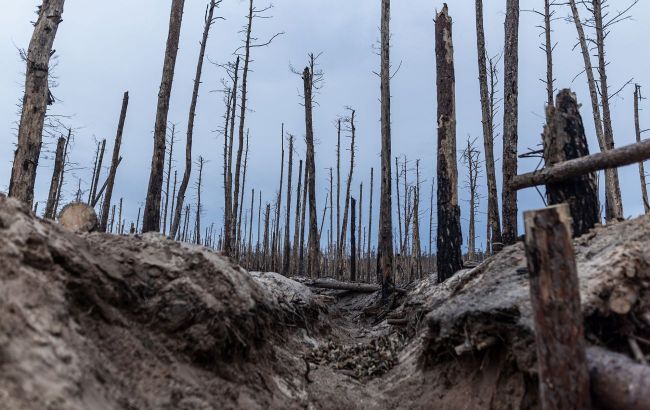 Can Ukraine&rsquo;s nature recover from war? Experts warn of critical ecological damage