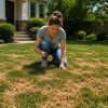 3 simple steps to restore a lawn covered in yellow patches