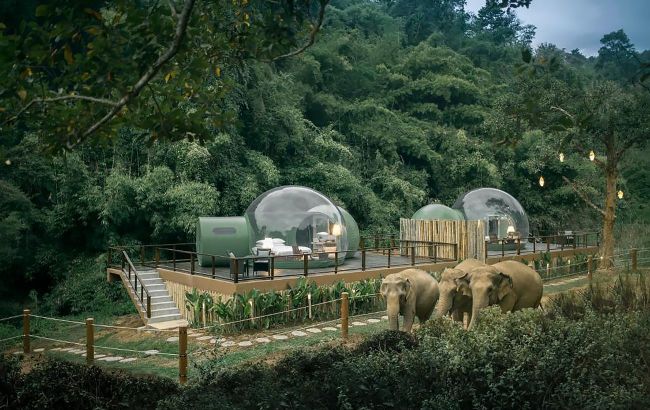 From treehouses to underwater rooms: Unusual hotels worth visiting
